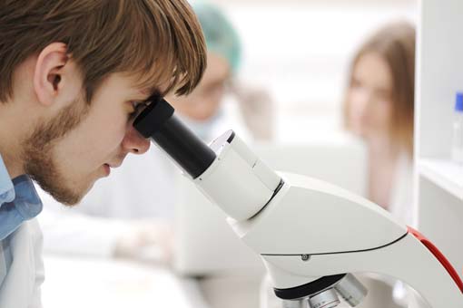 Biology minor student looking through a microscope