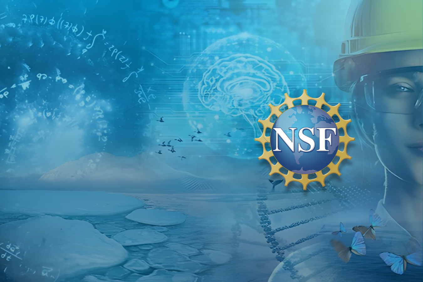 National Science Foundation grant program