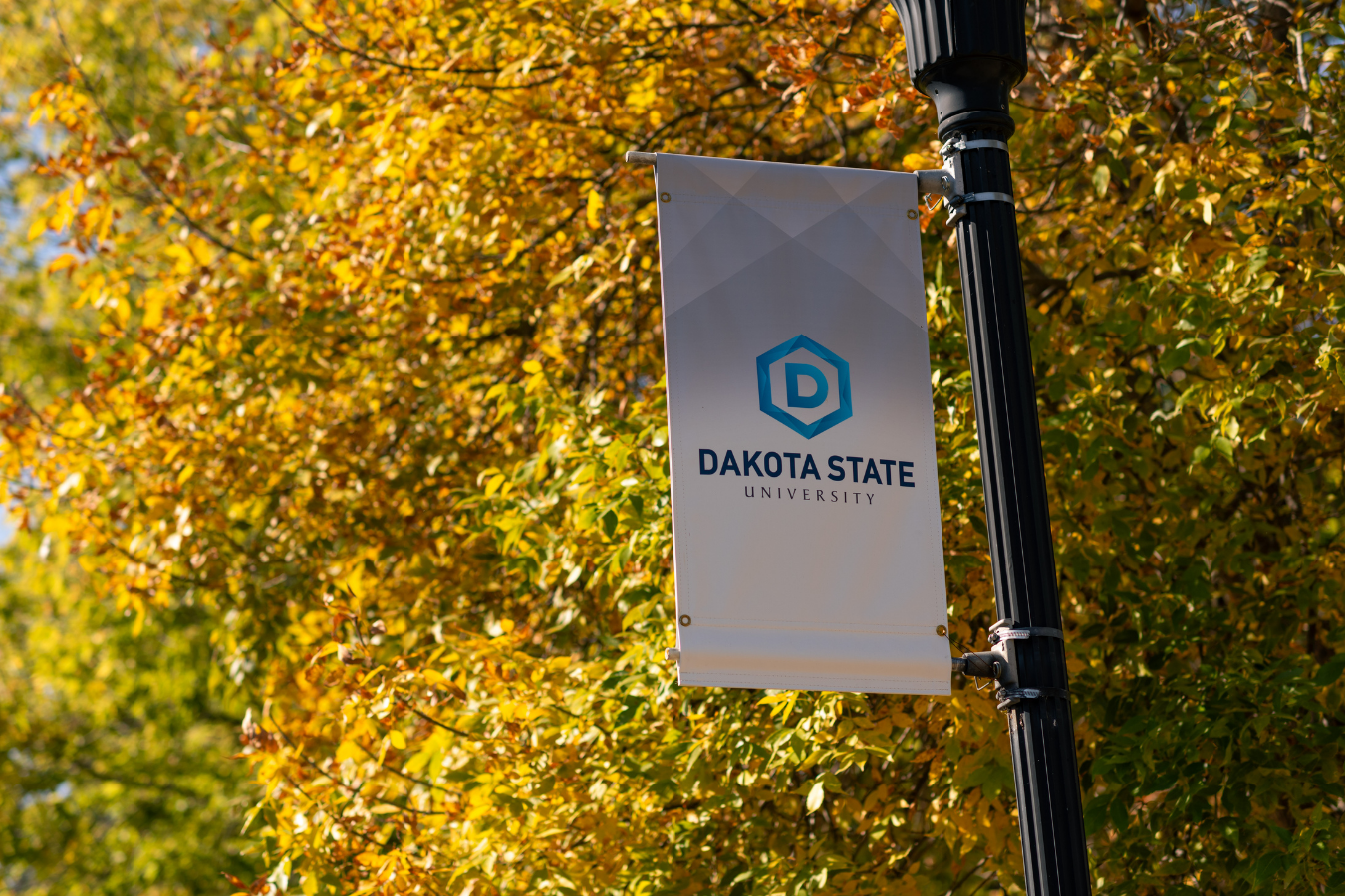 DSU banner hanging from a lamp post